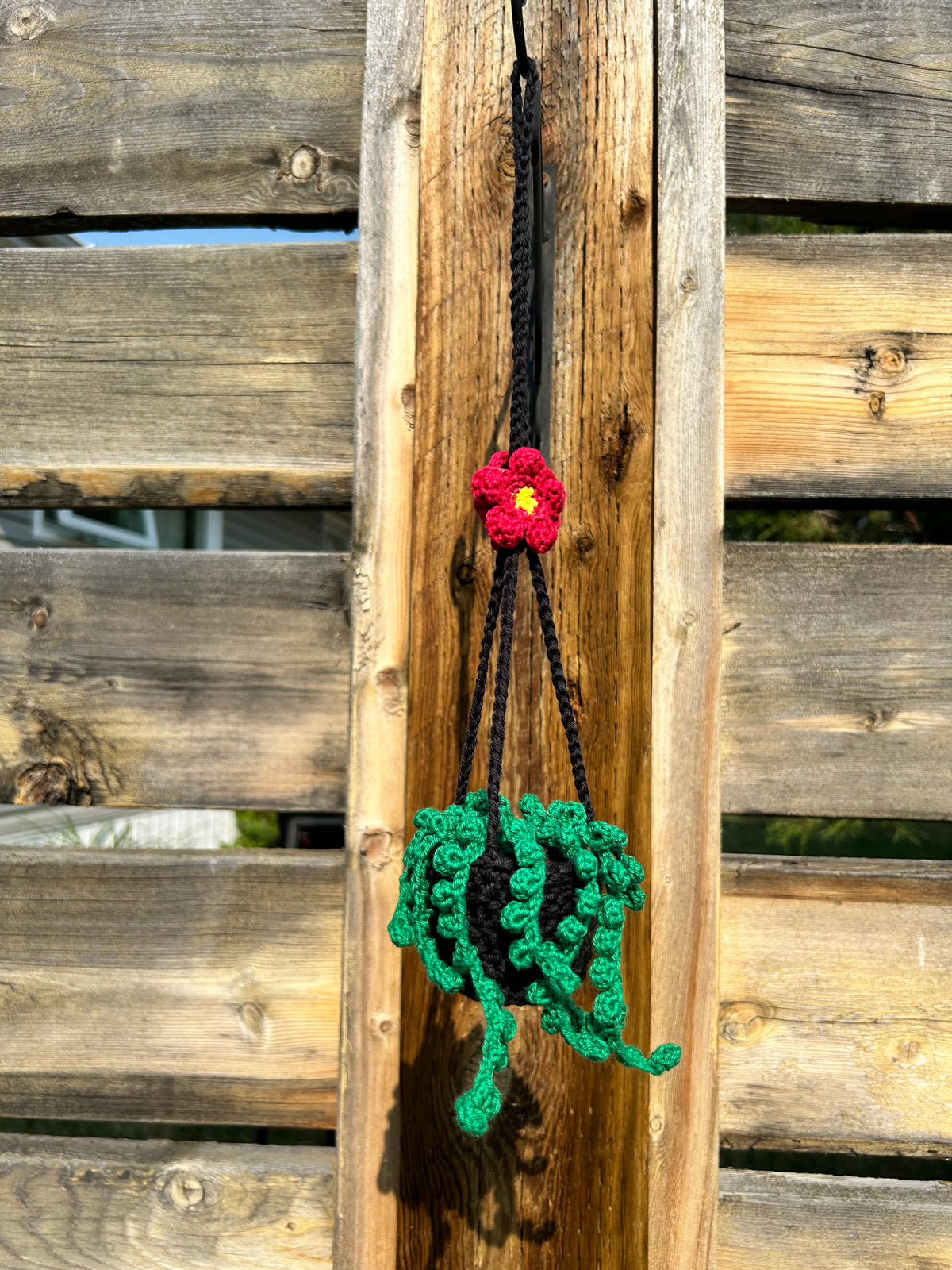 Crochet Hanging Plant - Small