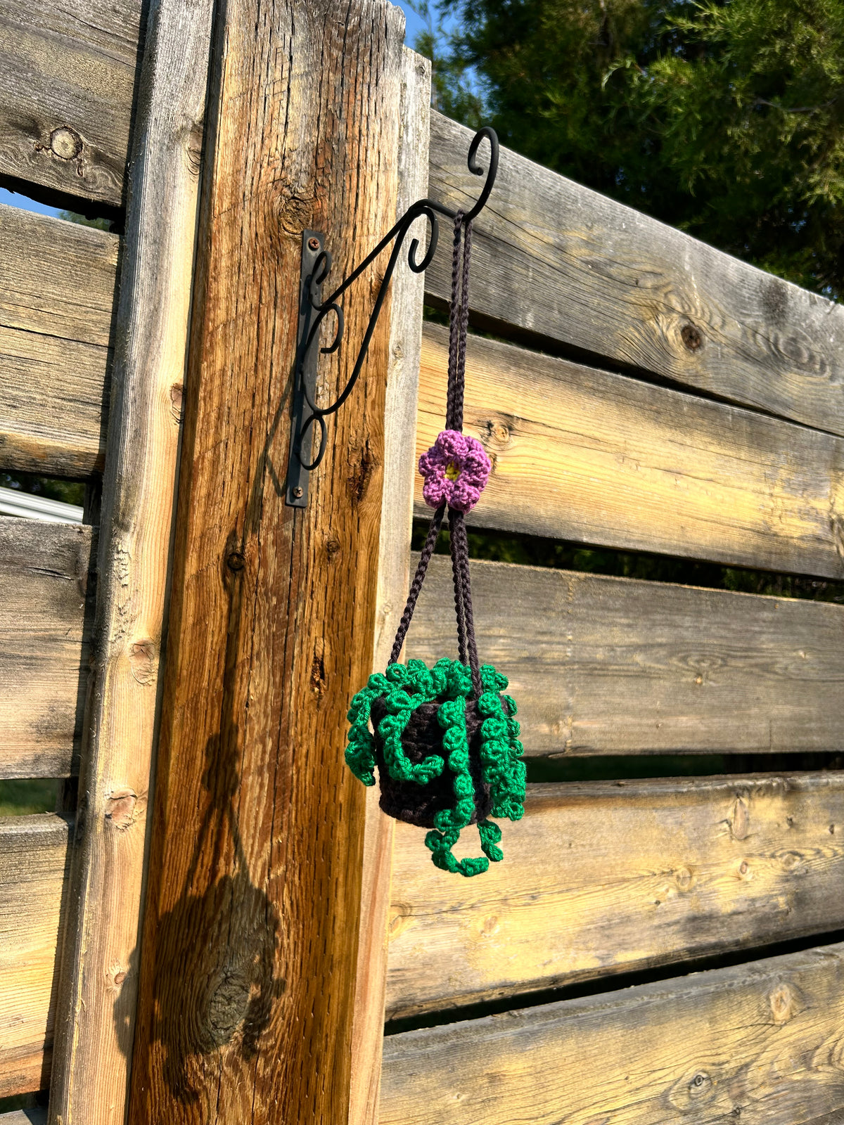 Crochet Hanging Plant - Small