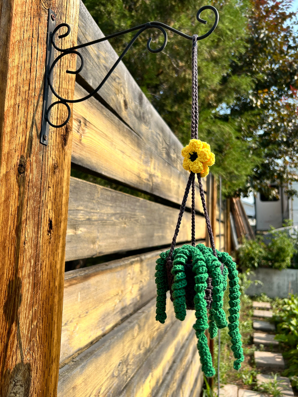Crochet Hanging Plant - Small