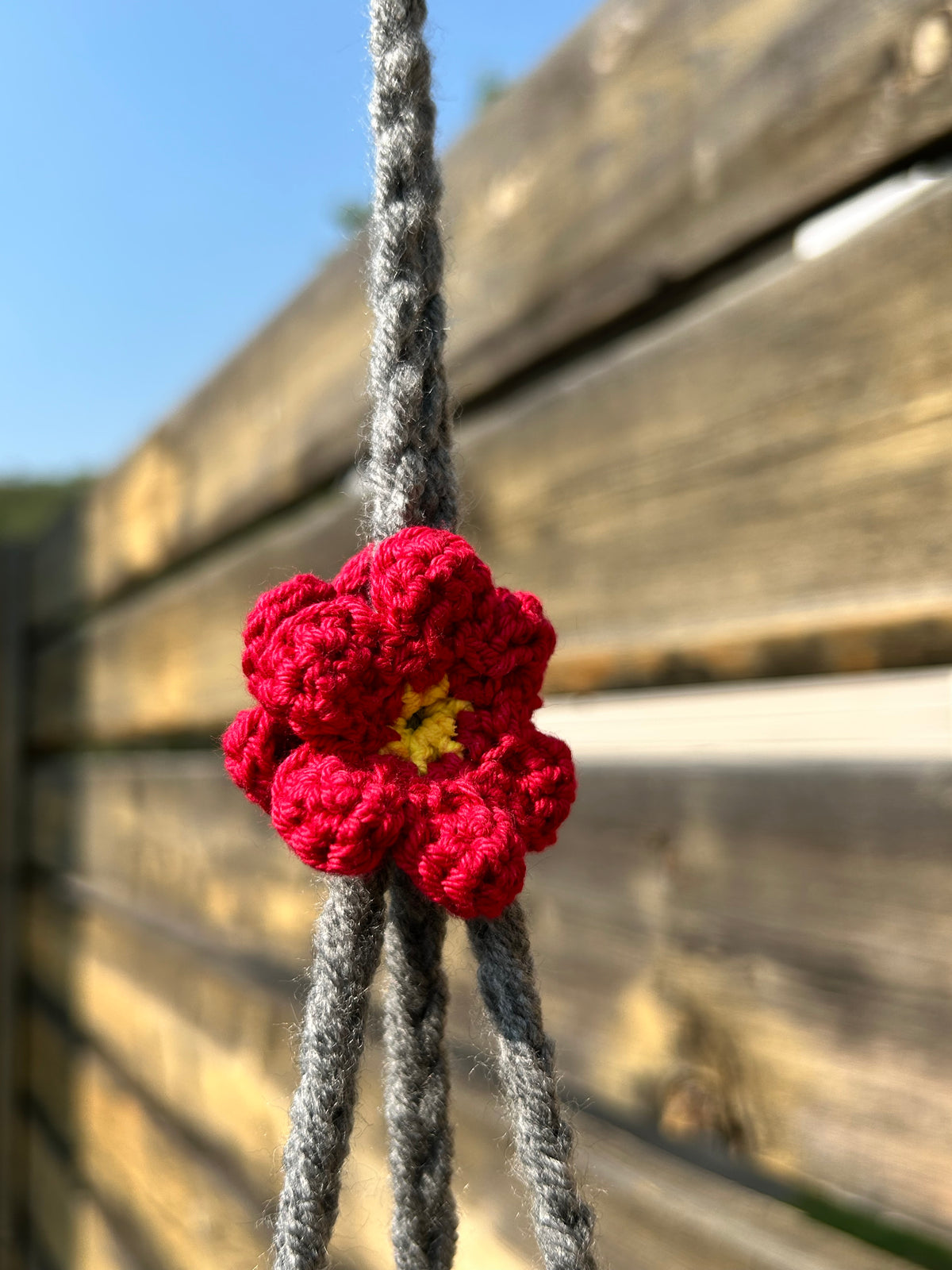Crochet Hanging Plant - Large