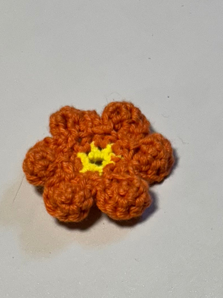 Crochet Croc Charm