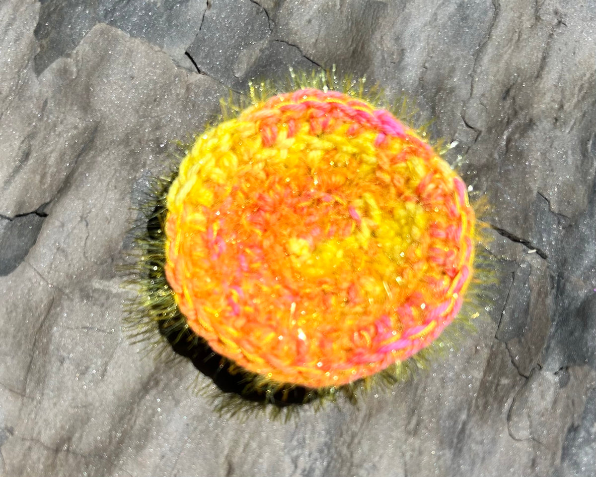 Dish Scrubby