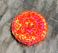 Dish Scrubby