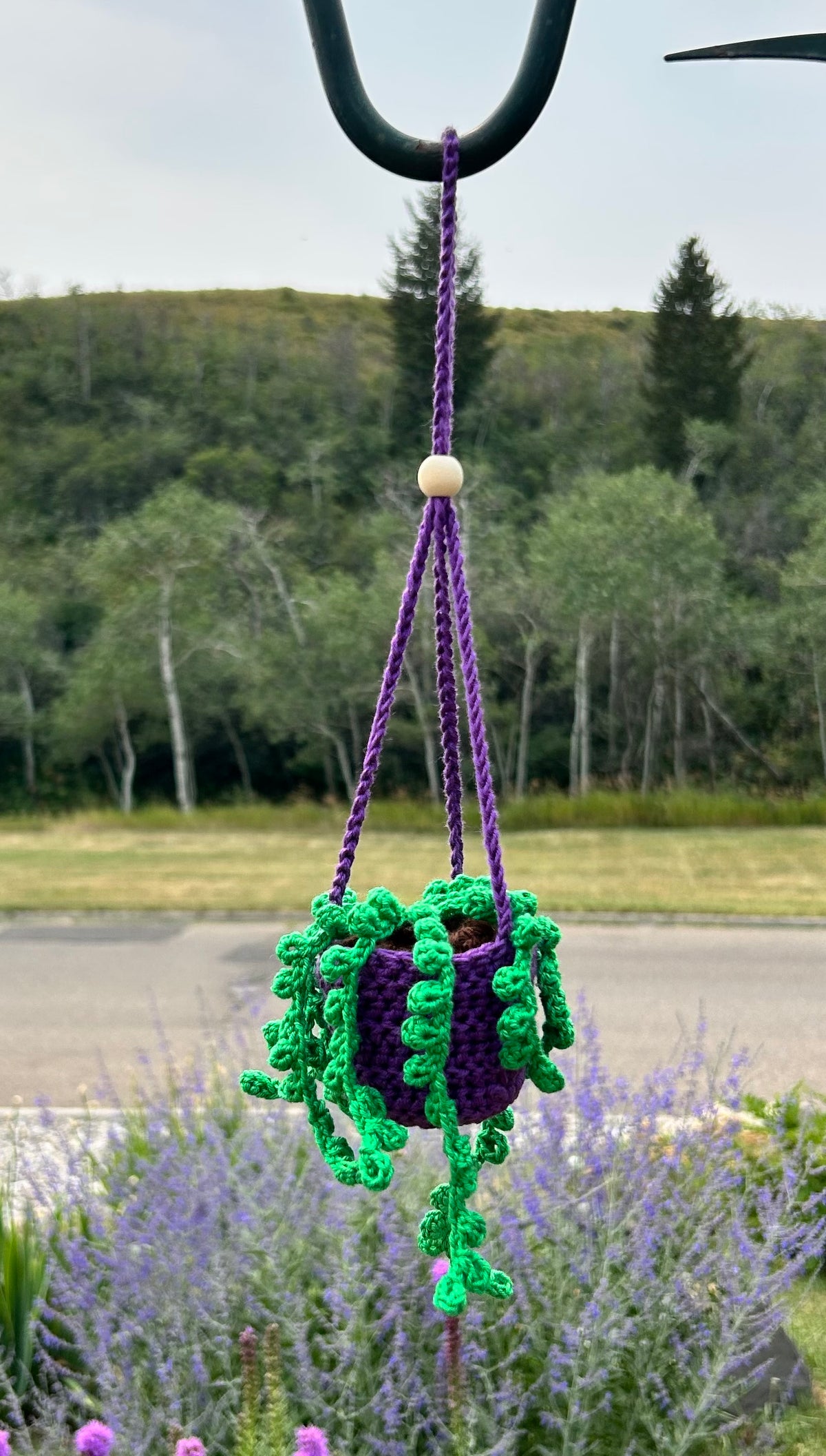 Crochet Hanging Plant - Small with Bead