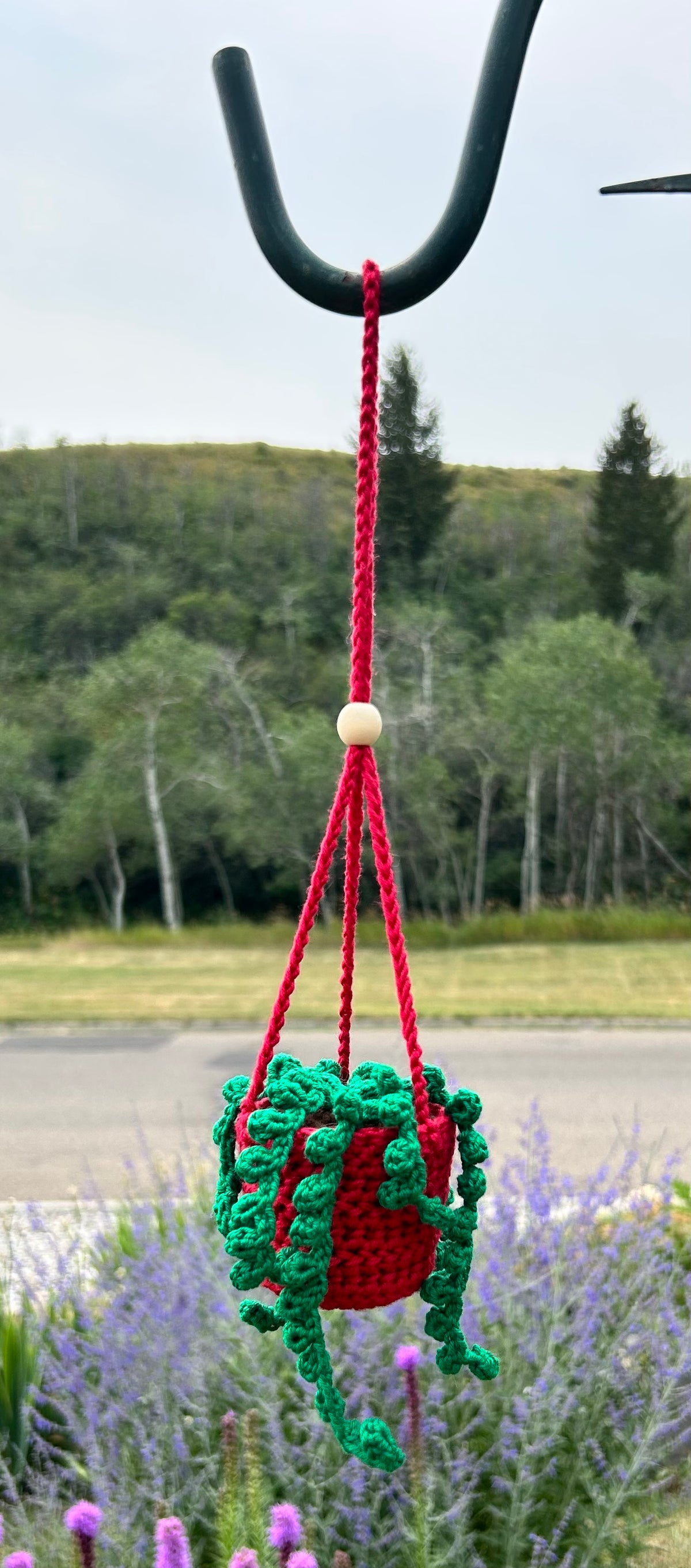 Crochet Hanging Plant - Small with Bead
